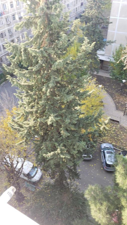 Lovely Apartment Tbilisi Zewnętrze zdjęcie